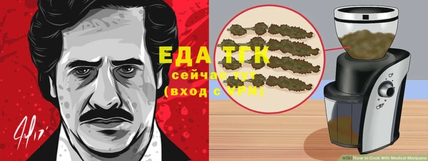 хмурый Бородино