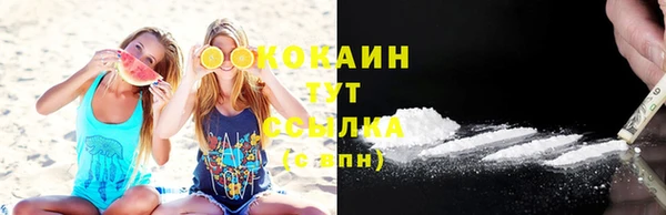 хмурый Бородино