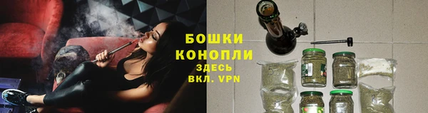каннабис Богданович