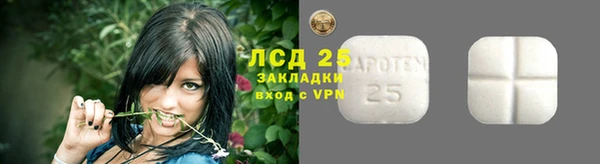 хмурый Бородино