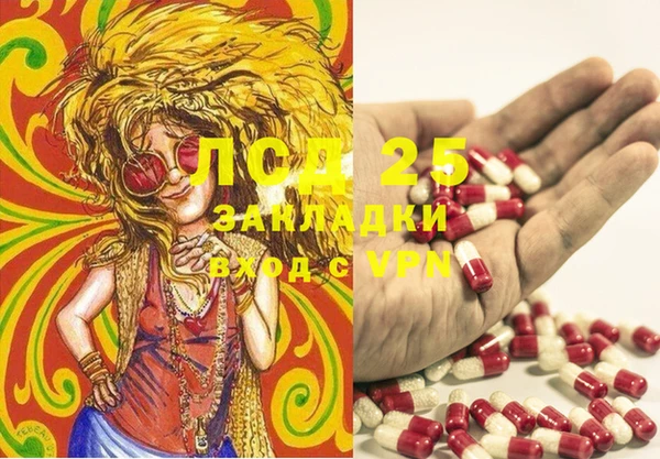 каннабис Богданович
