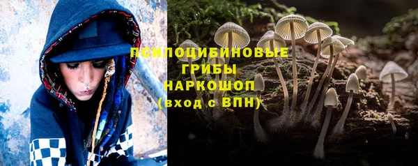 MDMA Premium VHQ Богородицк