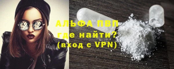 хмурый Бородино